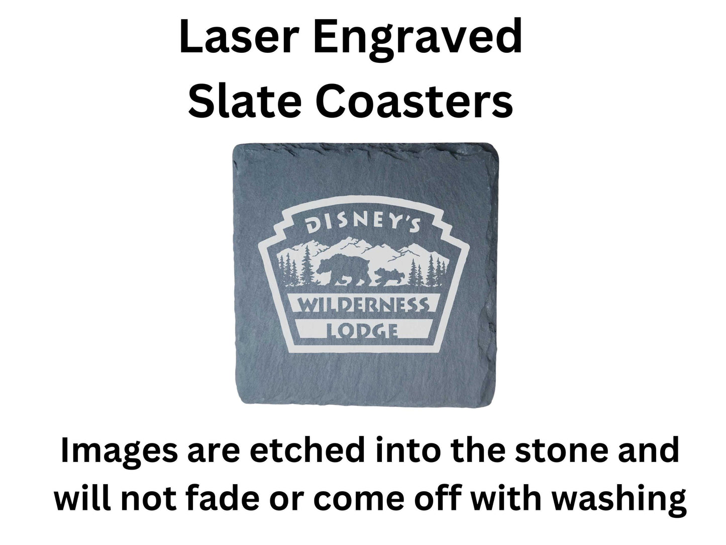Disney's Wilderness Lodge Resort Coasters